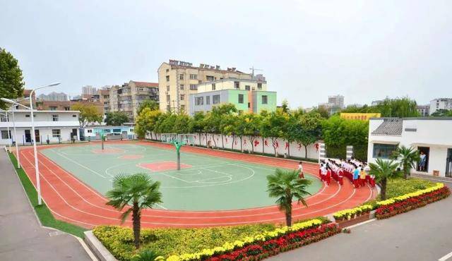 兴仁树德学校最新动态更新