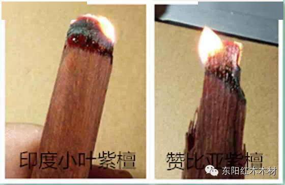 赞比亚血檀全面指南，最新消息与探索了解